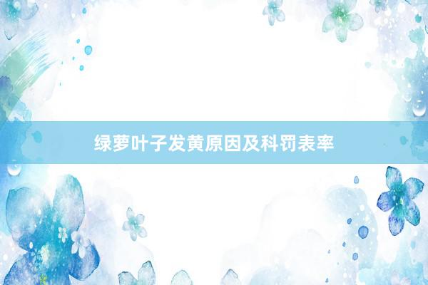绿萝叶子发黄原因及科罚表率