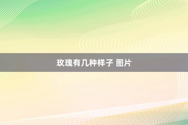 玫瑰有几种样子 图片