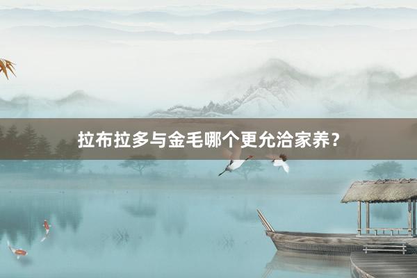 拉布拉多与金毛哪个更允洽家养？